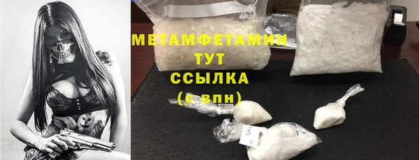 хмурый Пересвет