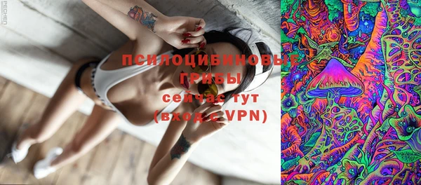ГАЛЛЮЦИНОГЕННЫЕ ГРИБЫ Алексин