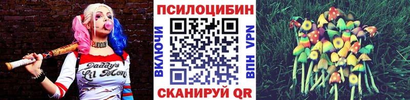 mega ссылка  Приморско-Ахтарск  Галлюциногенные грибы Psilocybine cubensis 